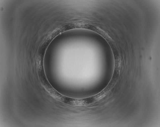 X0000085070615200703051409