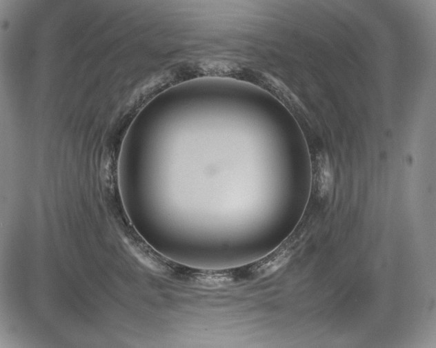 X0000085070619200703051409