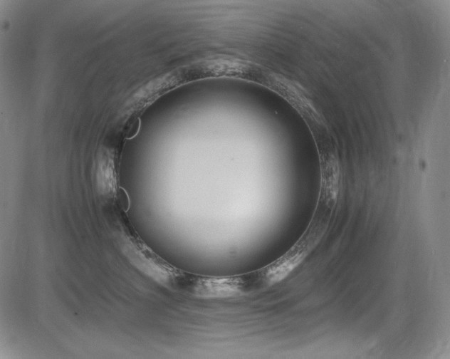X0000085070622200703051409