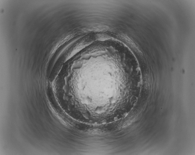 X0000085070634200703051408
