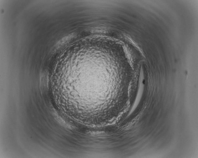 X0000085070637200703051408