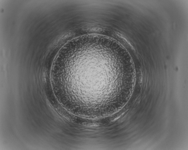 X0000085070643200703051408