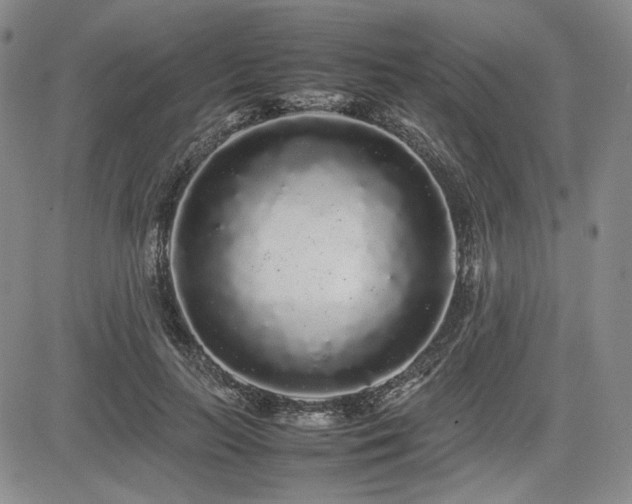 X0000085070647200703051408