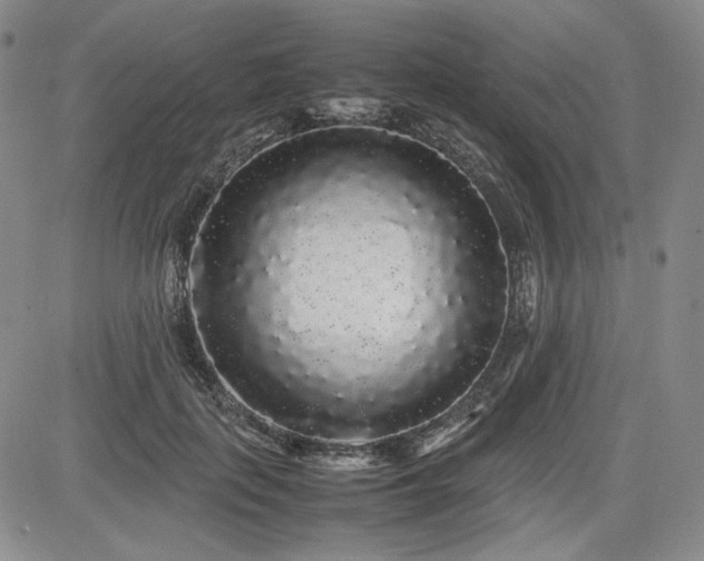 X0000085070651200703051408