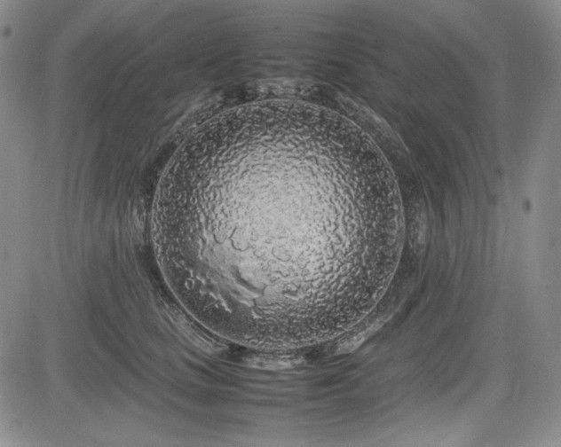 X0000085070661200703051409