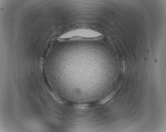 X0000085070664200703051409