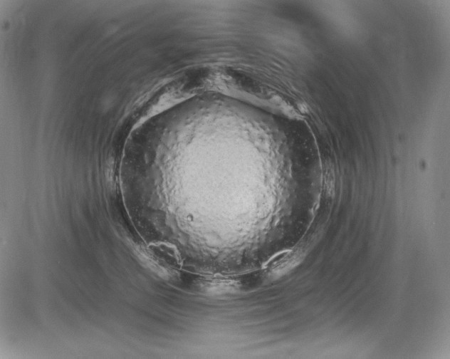 X0000085070670200703051409
