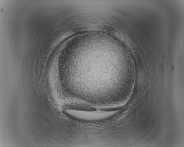 X0000085070673200703051408
