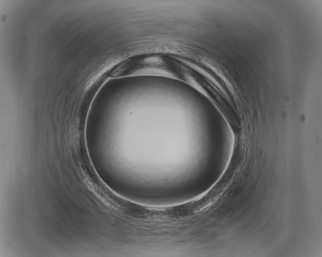 X0000085070677200703051408