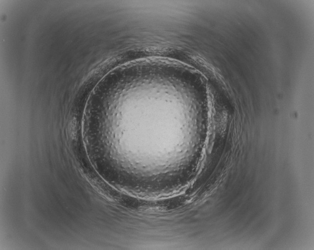 X0000085070689200703051408