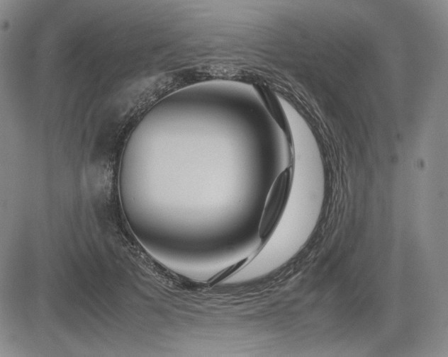 X0000085070697200703051407