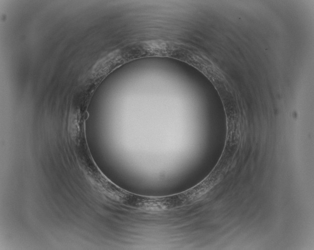 X0000085070702200703051407