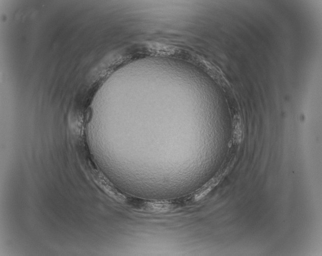 X0000085070713200703051407