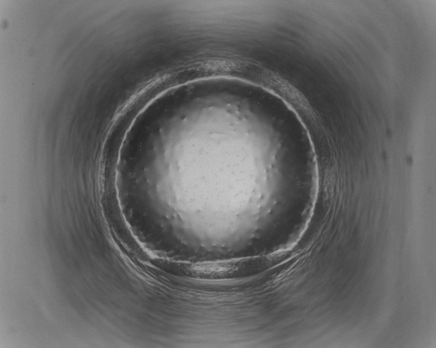 X0000085070722200703051406