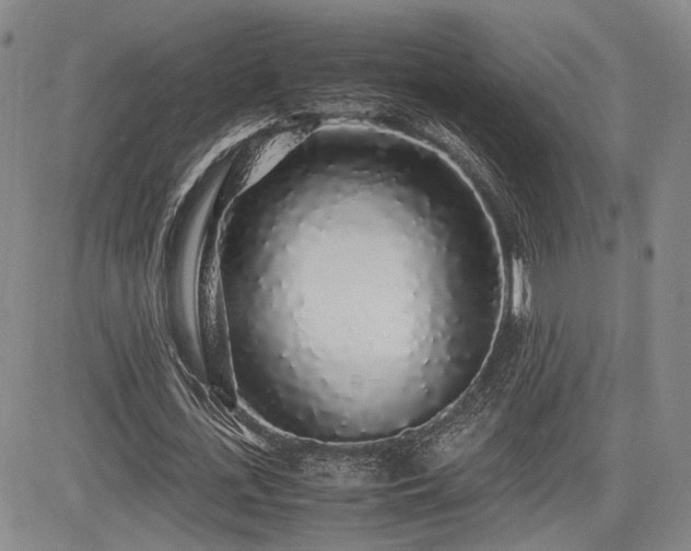 X0000085070723200703051406