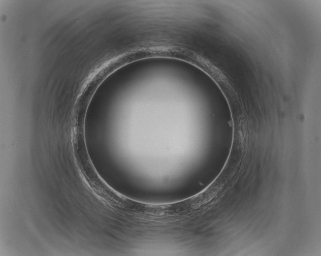 X0000085070728200703051406