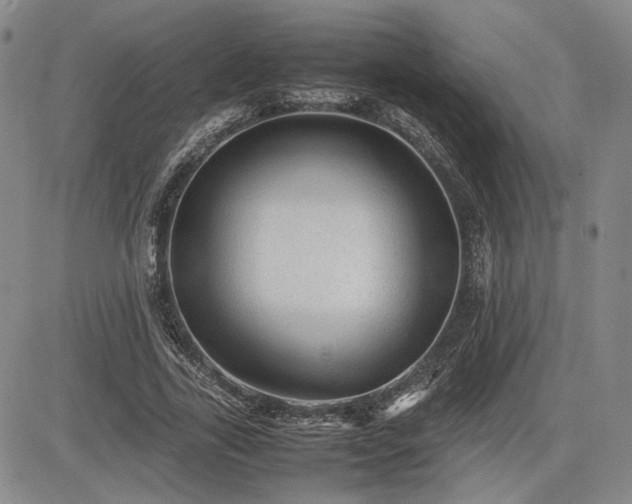 X0000085070731200703051406