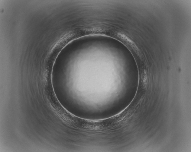 X0000085070735200703051406