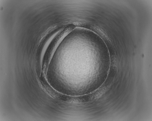 X0000085070738200703051406