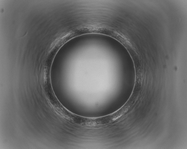 X0000085070740200703051407