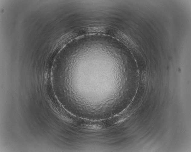 X0000085070741200703051407