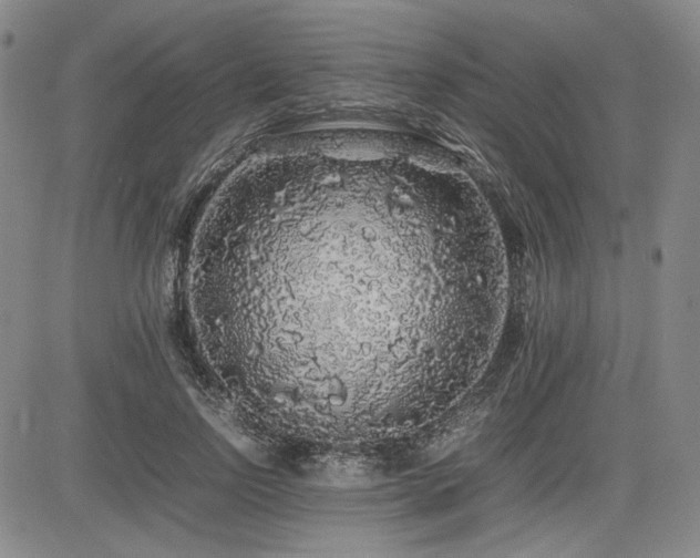 X0000085070742200703051407