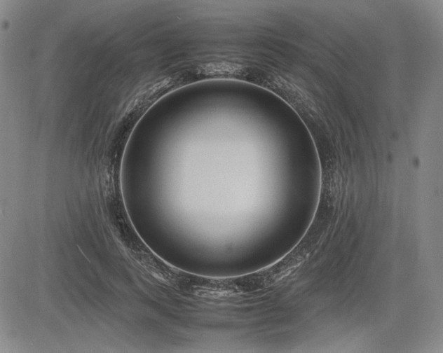X0000085070743200703051407