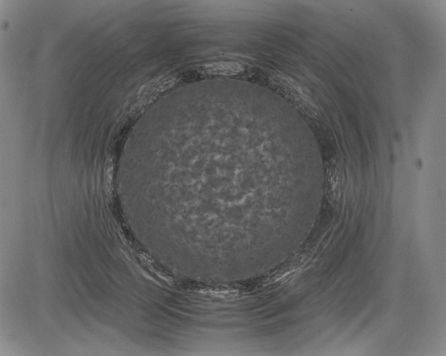 X0000085070745200703051407