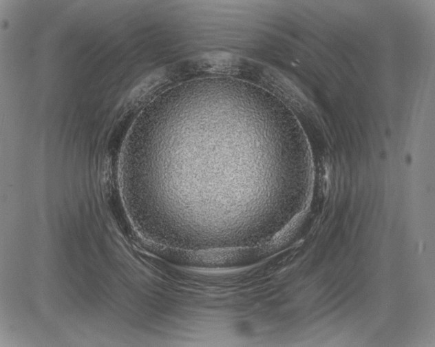 X0000085070748200703051407