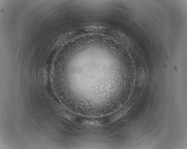 X0000085070749200703051407
