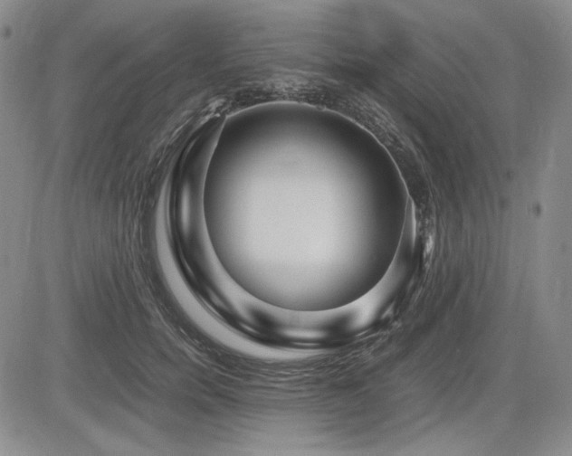 X0000085070750200703051407