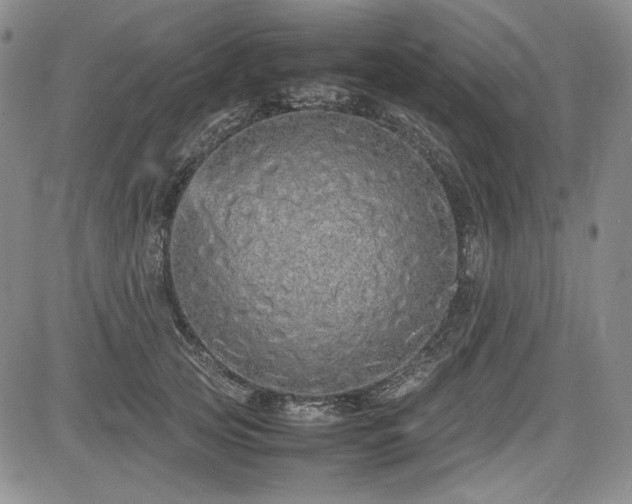 X0000085070753200703051407