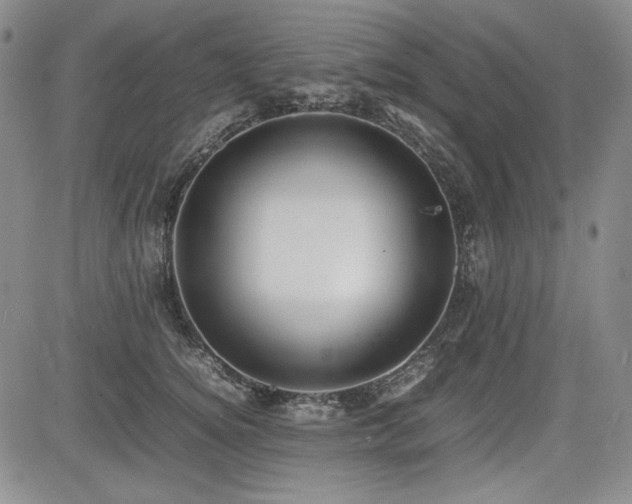 X0000085070756200703051407
