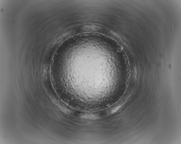 X0000085070759200703051407