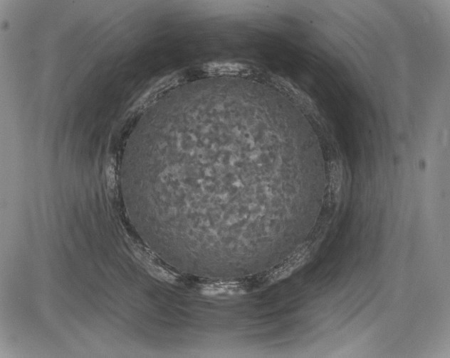 X0000085070761200703051407