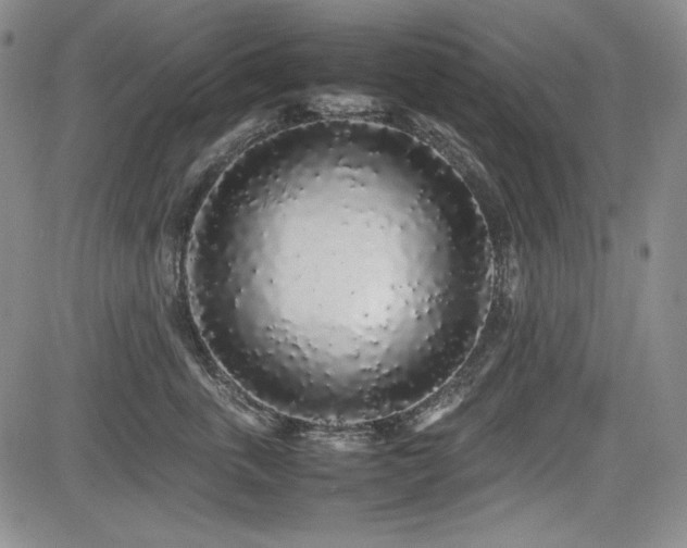 X0000085070763200703051407