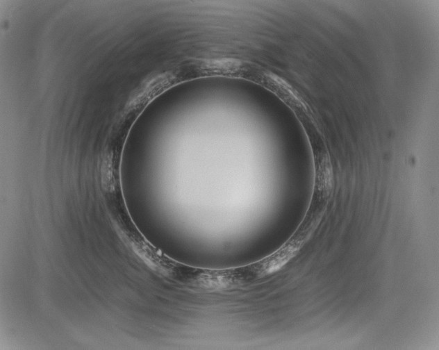 X0000085070764200703051407