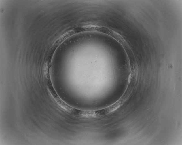 X0000085070767200703051407