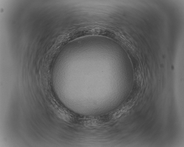 X0000085070769200703051406