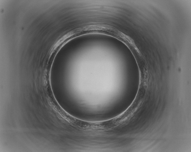 X0000085070786200703051406