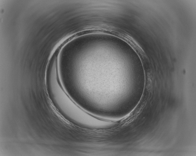 X0000085070788200703051406