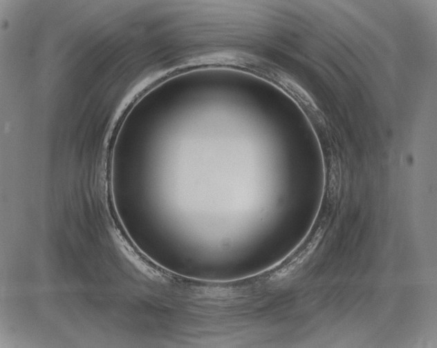 X0000085070800200703051406