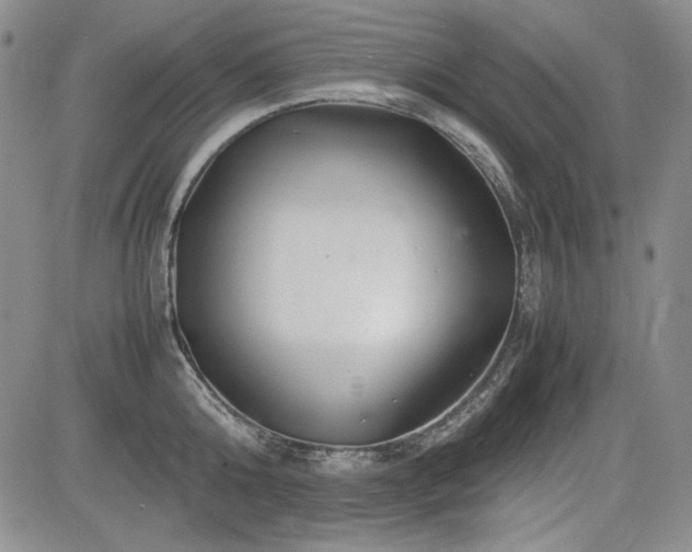 X0000085070808200703051405