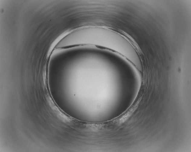 X0000085070812200703051405