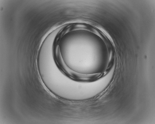 X0000085070813200703051405