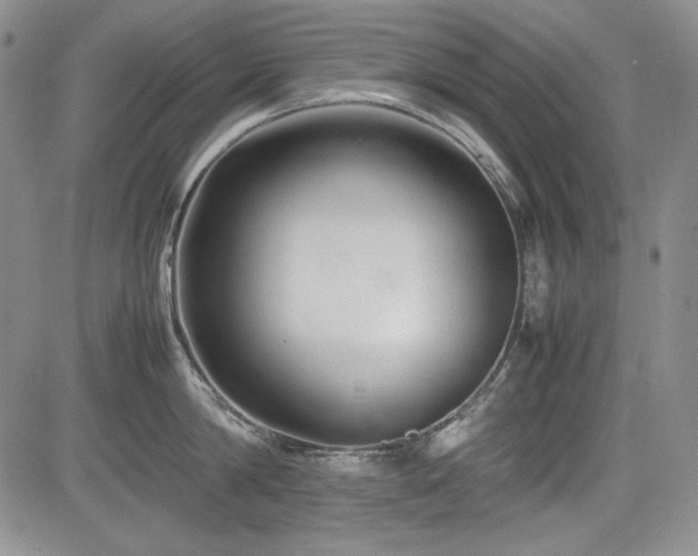 X0000085070814200703051405