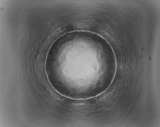 X0000085070817200703051404