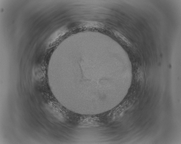 X0000085070824200703051405