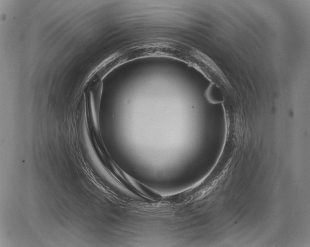 X0000085070826200703051405