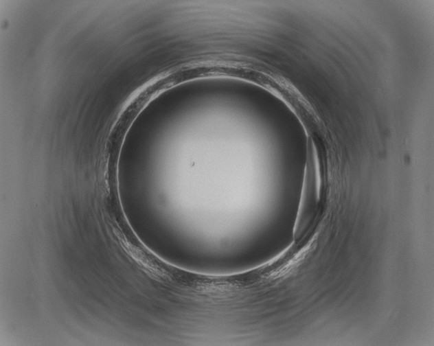 X0000085070830200703051405